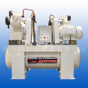 oͻsC  oil free piston compressor 
P(gun)I: