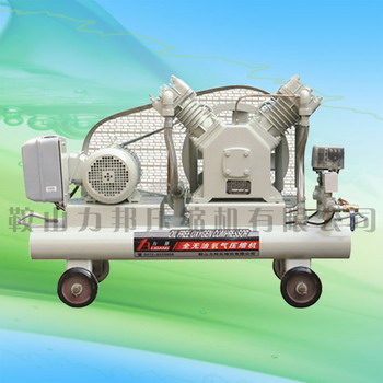 o͚wsC(j) oil free gas compressor 
P(gun)I: