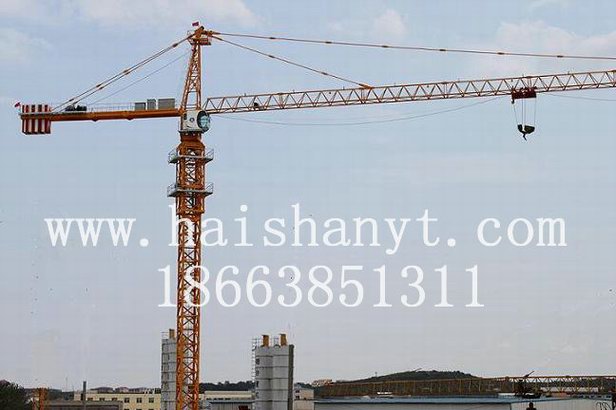 QTZ315QTZ315Tower crane 
PI: