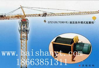 QTZ125QTZ125 Tower crane 
P(gun)I: