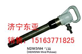 M2/M3/M4LG10怣CZ2LPP 
PI: