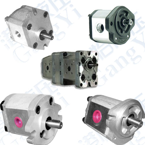 Gear Pumps Series: 
PI: