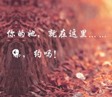 (chung)o龉ʒɽTŮ ITŮ TŮ 
PI: