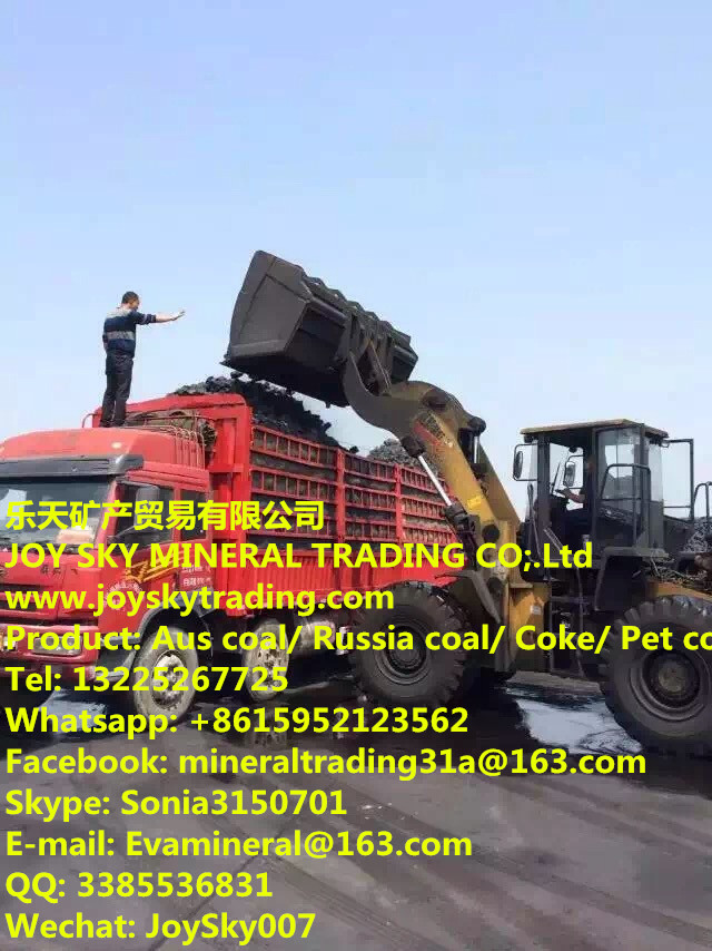 Indonesia,Russia,Australia,NorthKoreancoalsupplier 
P(gun)I: